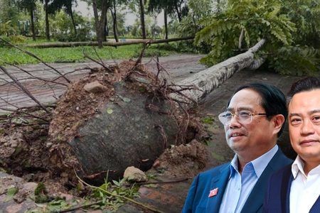 Hàng chục ngàn cây xanh đổ sau bão Yagi, phơi bày nhiều tắc trách